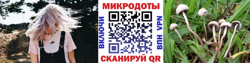 Псилоцибиновые грибы GOLDEN TEACHER  Покров 