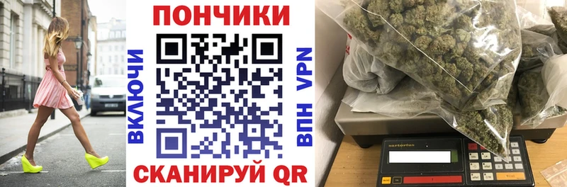 Бошки Шишки планчик  закладки  Покров 